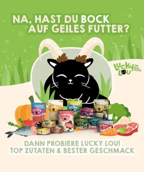 Lucky Lou - The Real Taste