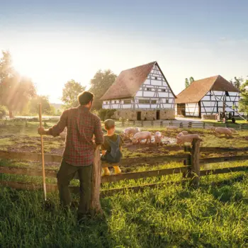 EDEKA Bauernschätze