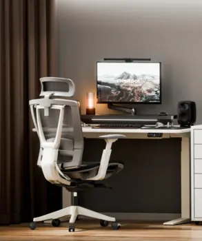 Flexispot: Healthy work, healthy life.