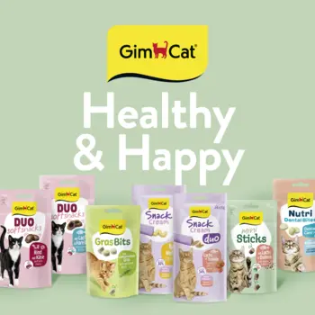 GimCat Designrelaunch Snacks