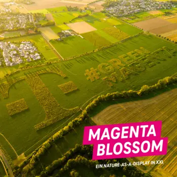 Telekom – Magenta Blossom