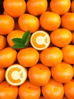 CAWG - Wohnen ist orange