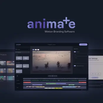 birds animate